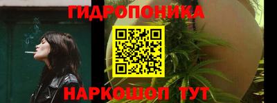 a pvp Обь