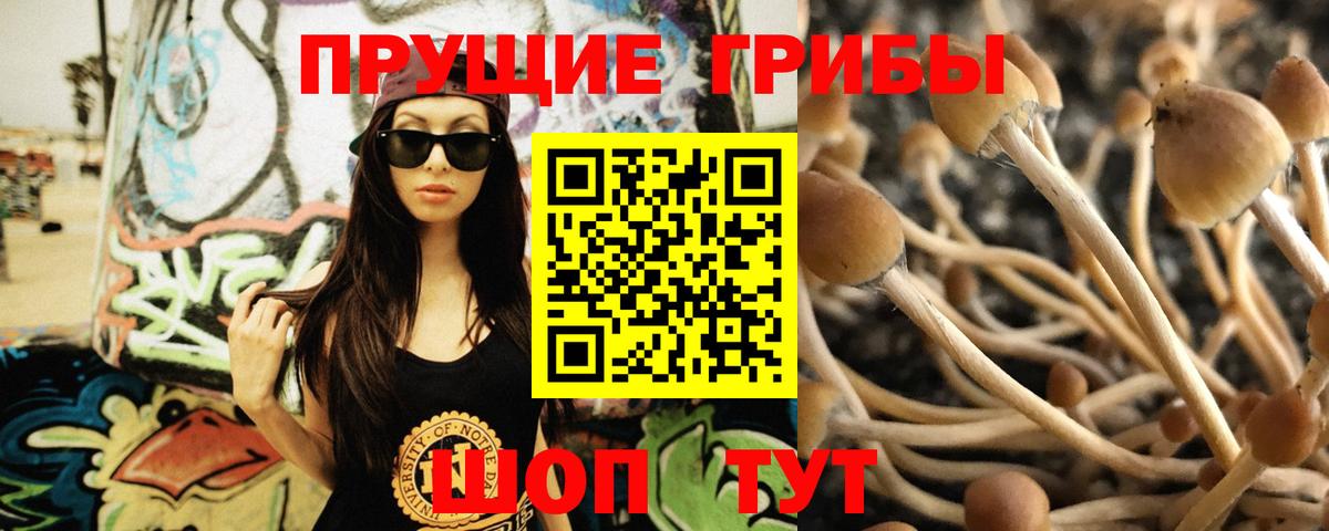 Псилоцибиновые грибы ЛСД Новотроицк